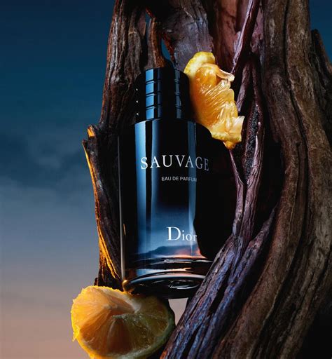 salvaje dior|dior sauvage vanilla.